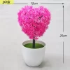Heart Shaped Bonsai Tree